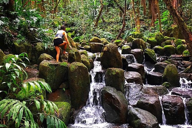 Wailua River & Waterfalls Kayak Tour: Expert-Guided Adventure - What guides add to the experience