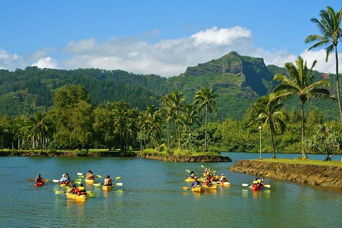 Wailua River & Waterfalls Kayak Tour: Expert-Guided Adventure - Who should choose this Kauai adventure?