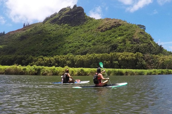 Wailua River & Waterfalls Kayak Tour: Expert-Guided Adventure - What to pack for a comfortable day