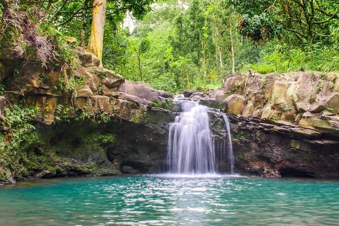 Waterfall & Rainforest Hiking Adventure with Hotel Pickup - What the guide adds to the day