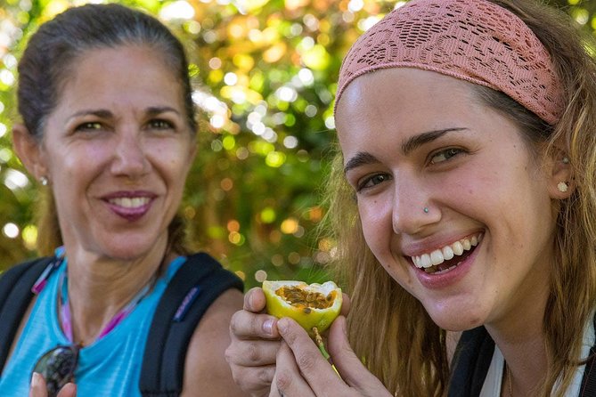 Waterfall & Rainforest Hiking Adventure with Hotel Pickup - The value of a $229.32 Maui excursion