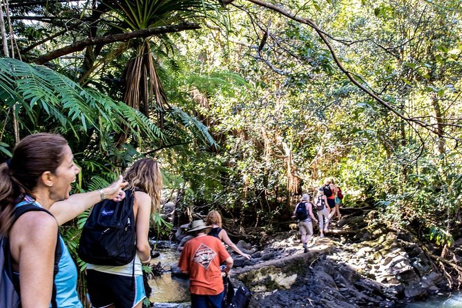 Waterfall & Rainforest Hiking Adventure with Hotel Pickup - Weather, clothing, and practical preparation