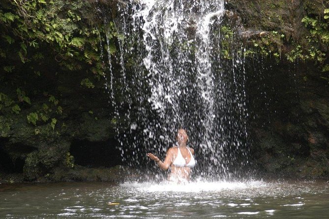 Waterfall & Rainforest Hiking Adventure with Hotel Pickup - Swimming beneath a rainforest waterfall