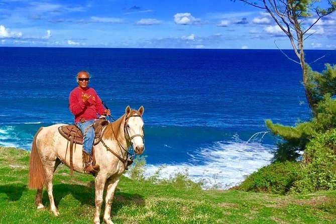West Maui Mountain Waterfall and Ocean Tour via Horseback - What makes this Maui ride worth considering