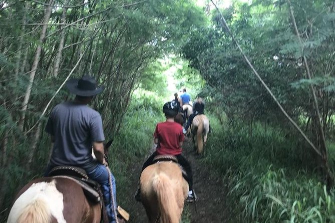 West Maui Mountain Waterfall and Ocean Tour via Horseback - The animals add real charm