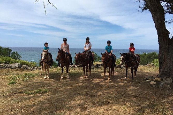 West Maui Mountain Waterfall and Ocean Tour via Horseback - What the $187.50 price buys you
