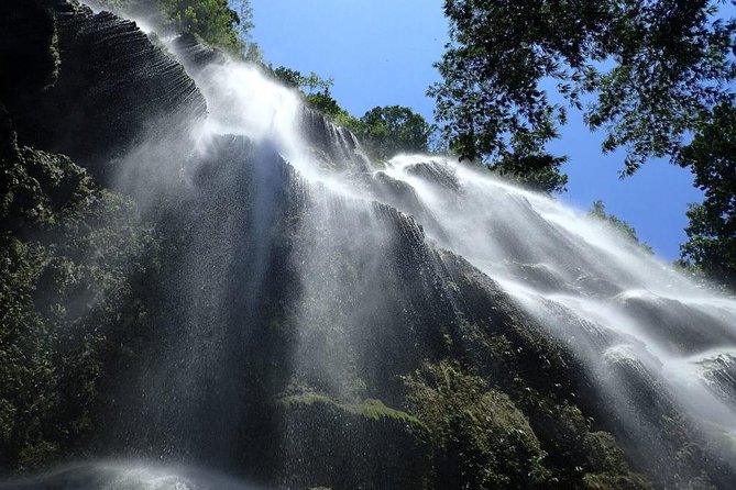 Whale Shark Encounter and Sumilon Sandbar with Kawasan Falls - Oslob whale sharks and the ethical question