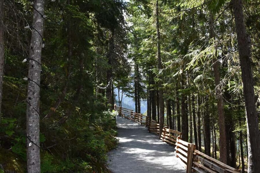 Whistler, Sea to Sky Gondola, and Shannon Falls Day Trip - Comfort, timing, and practical limits