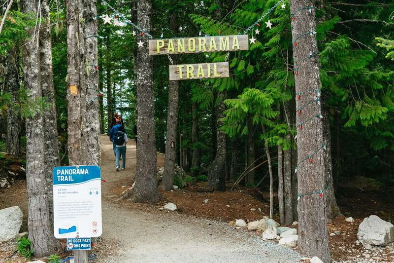 Whistler, Sea to Sky Gondola, and Shannon Falls Day Trip - Shannon Falls: a powerful sight in 20 minutes