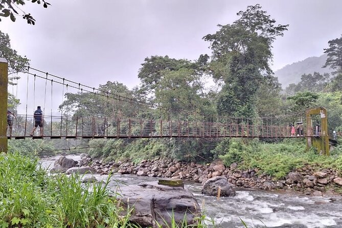 Wild Elephant Anakulam & Waterfalls Tour(munnar valley Trekking) - Why Anakulam is the real reason to go