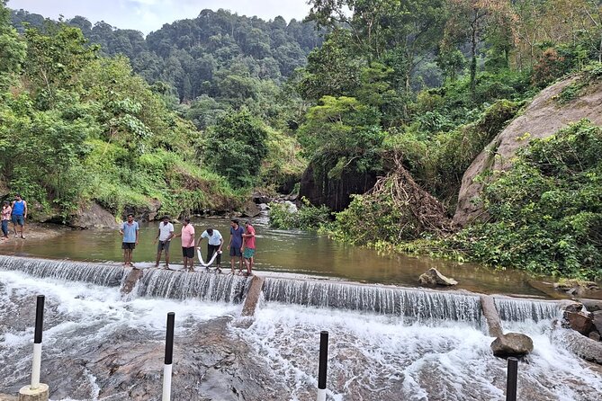 Wild Elephant Anakulam & Waterfalls Tour(munnar valley Trekking) - The private jeep changes the pace of the day