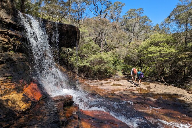 Wilderness, Waterfalls, Three Sisters BLUE MOUNTAINS PRIVATE TOUR - Four smaller lookouts with different views