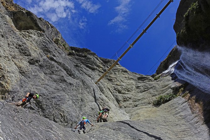 Wildwire Wanaka- Level 2 (4 Hours) - How Level 2 compares with the easier choice