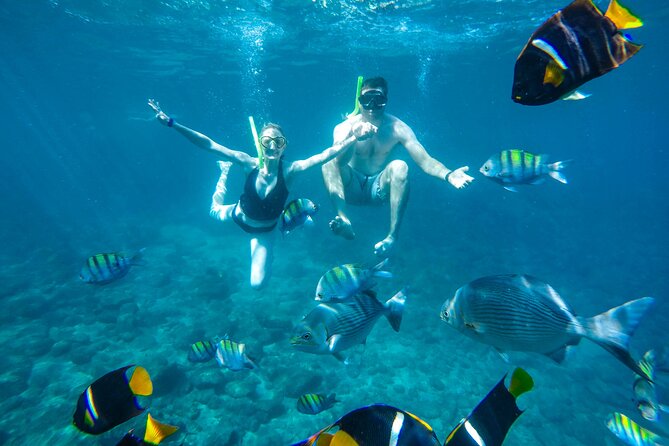 Yelapa Waterfall, BBQ at Exclusive Majahuitas Beach & Open bar - Practical preparation for the boat and village