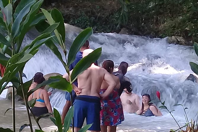 YS Falls & Pelican Bar Tour - YS Falls brings the best nature stop
