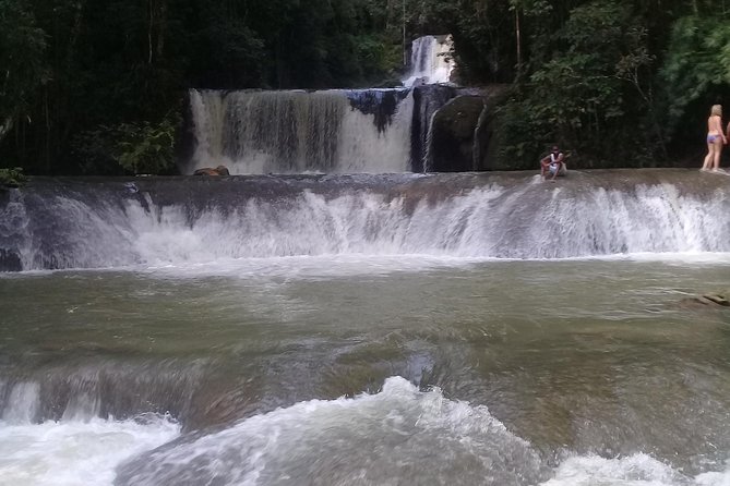 YS Falls & Pelican Bar Tour - What $120 per person really covers