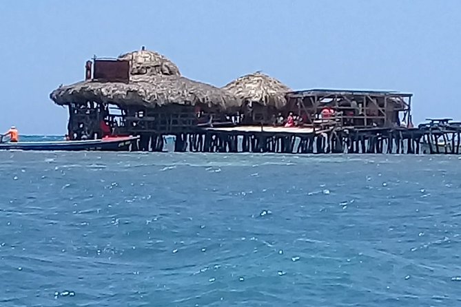 YS Falls & Pelican Bar Tour - Who will enjoy this private Jamaica day