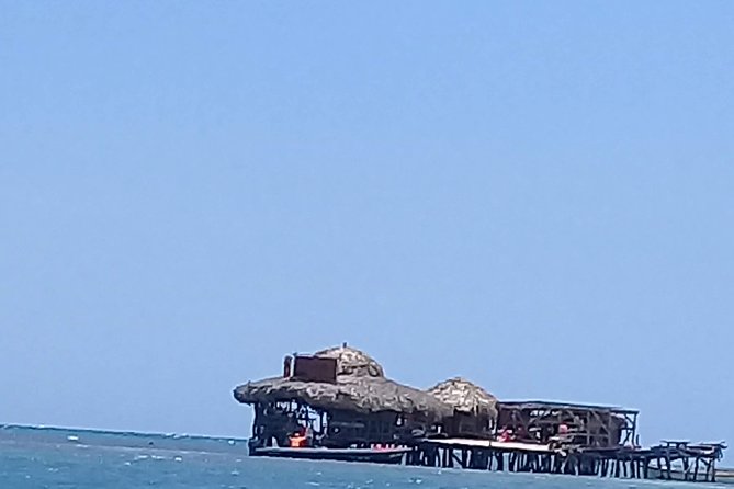 YS Falls & Pelican Bar Tour - How to get the most from the experience